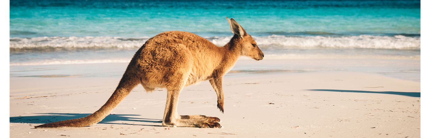 verhuizen naar australie