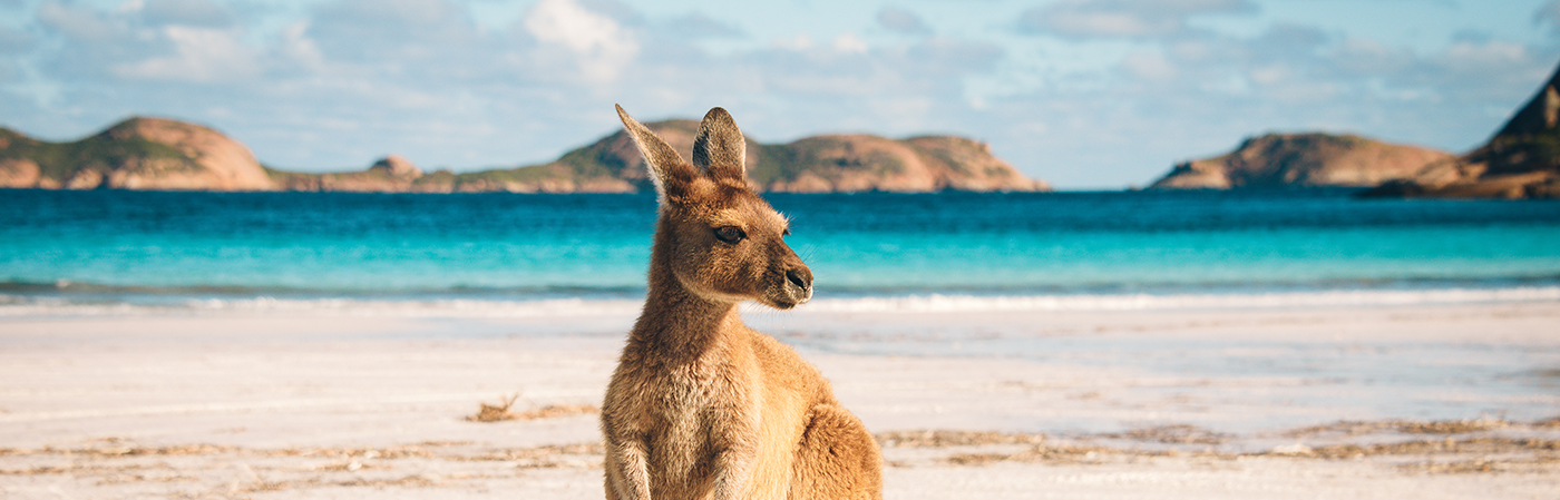 Australia streamer_shutterstock_603577616