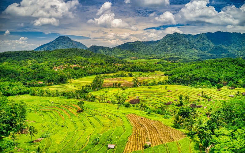 Verhuizen naar Indonesie