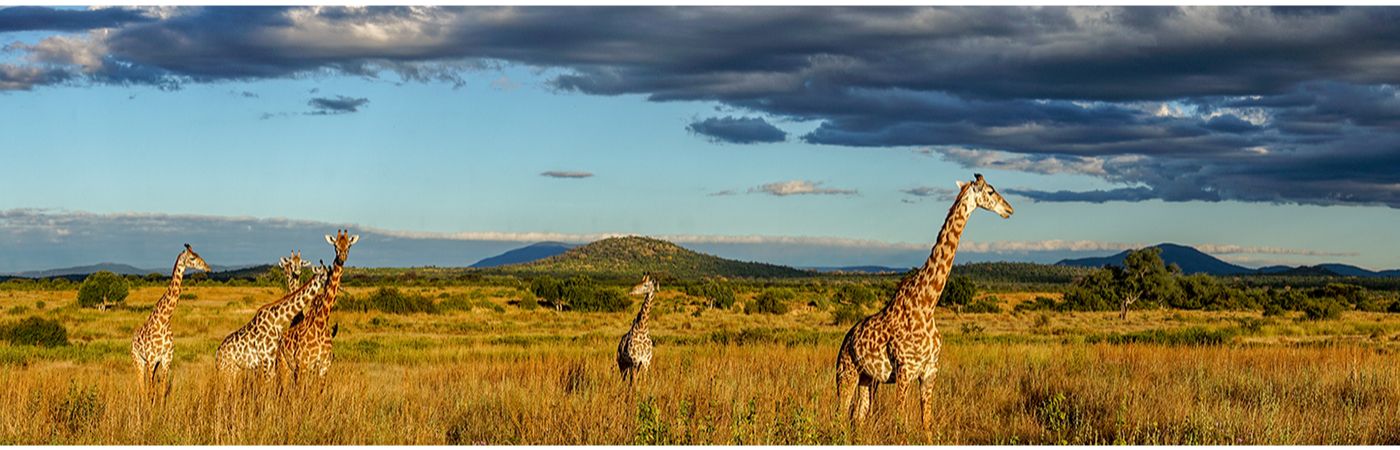 verhuizen-naar-zuidafrika verhuizen naar zuid-afrika